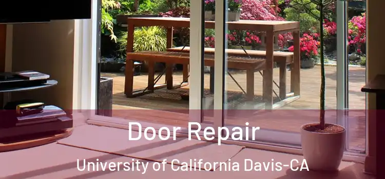  Door Repair University of California Davis-CA