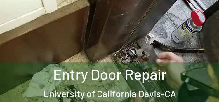  Entry Door Repair University of California Davis-CA