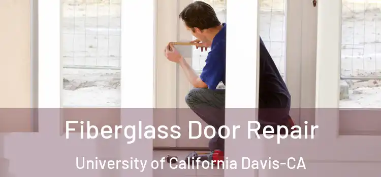  Fiberglass Door Repair University of California Davis-CA