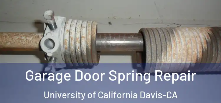  Garage Door Spring Repair University of California Davis-CA