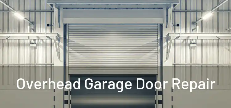  Overhead Garage Door Repair 