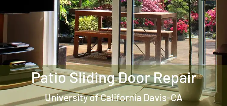  Patio Sliding Door Repair University of California Davis-CA